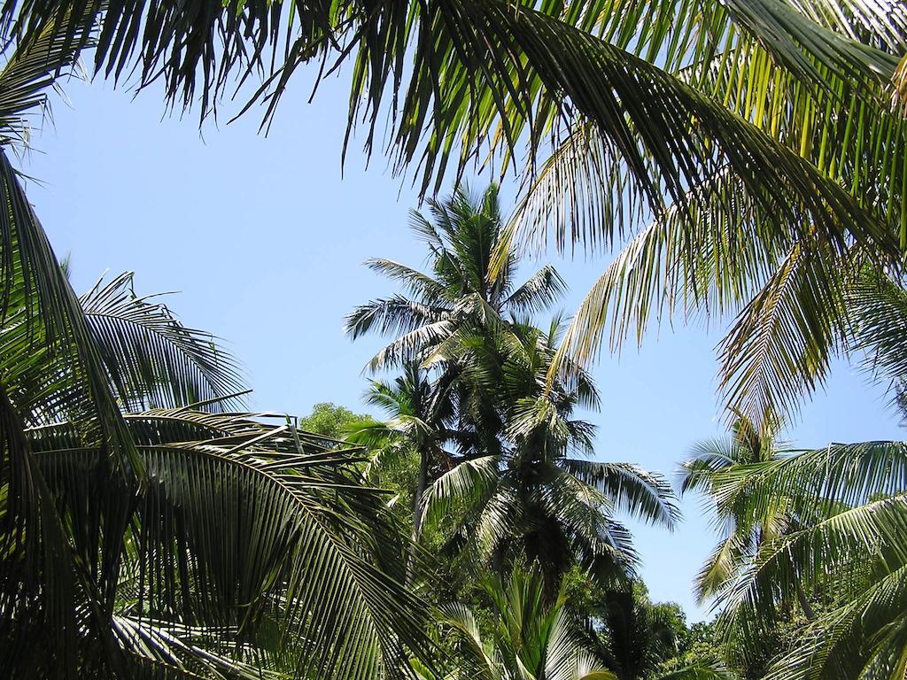 North Borneo Biostation Resort Кудат Екстер'єр фото